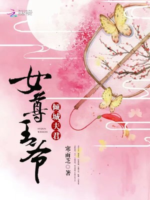 女尊王爷:倾城夫君