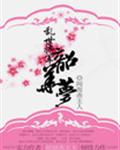 乱世将军之韶华梦