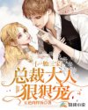 一胎三宝:总裁大人狠狠宠
