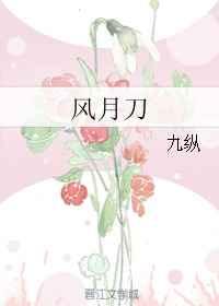 风月刀