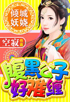 倾城妖娆:腹黑公子好难缠