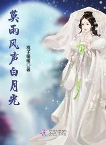 莫雨风声白月光