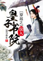 穿越之误入皇子书院