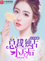宠妻成瘾:总裁独占小天后